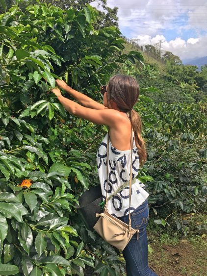 coffee farm visit