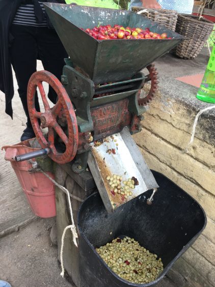 coffee machine salento