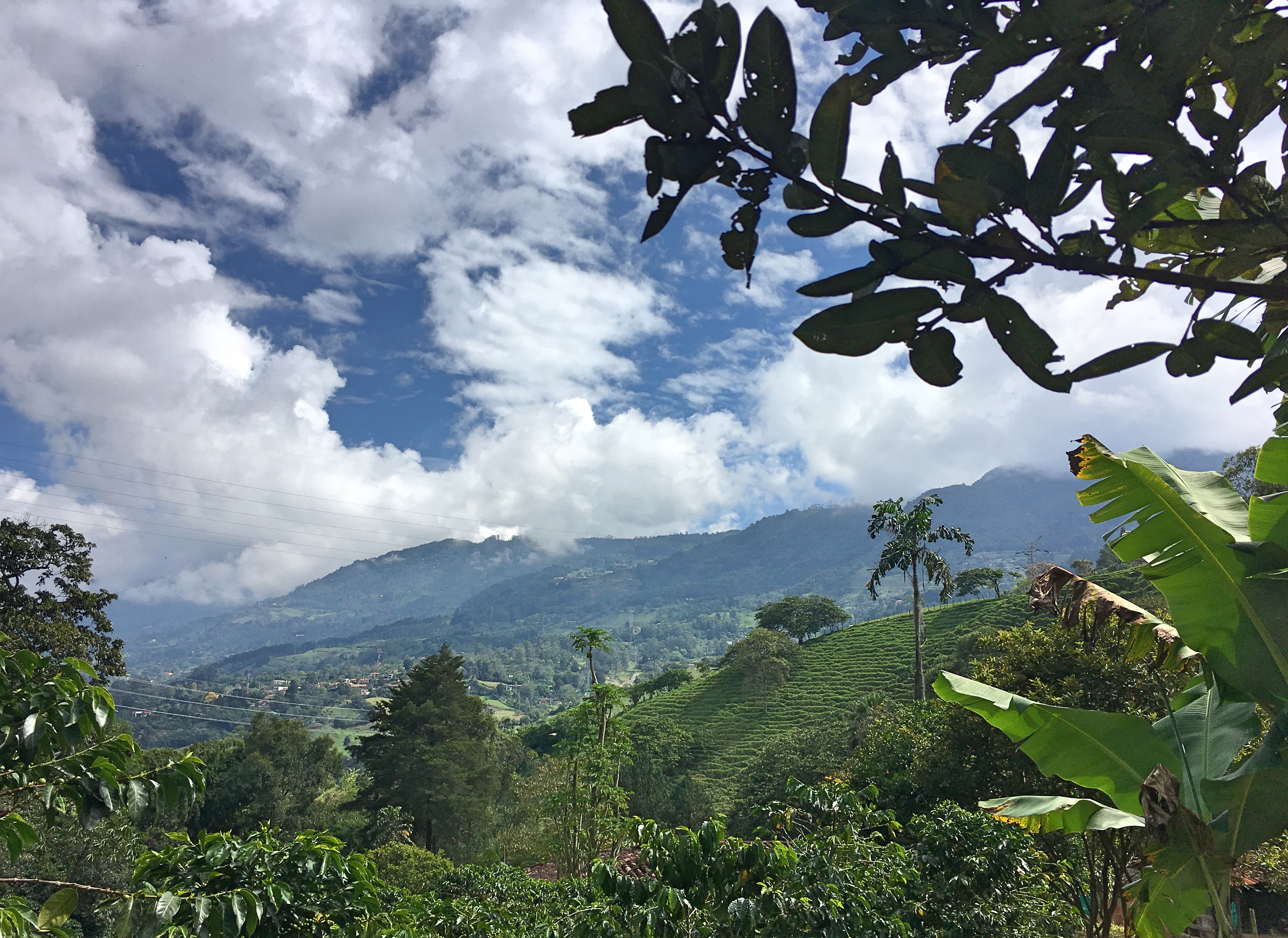 finca la leona medellin