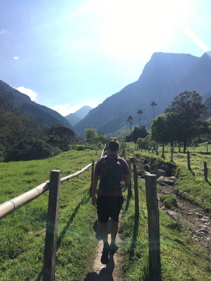 hiking cocora valley salento