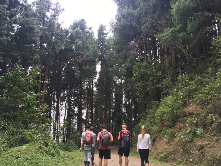 hiking in salento colombia