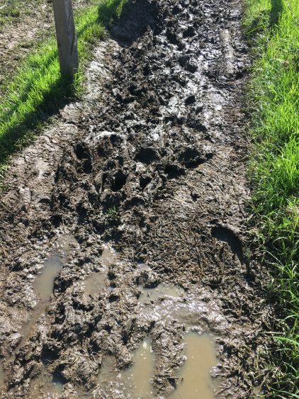 muddy salento hike