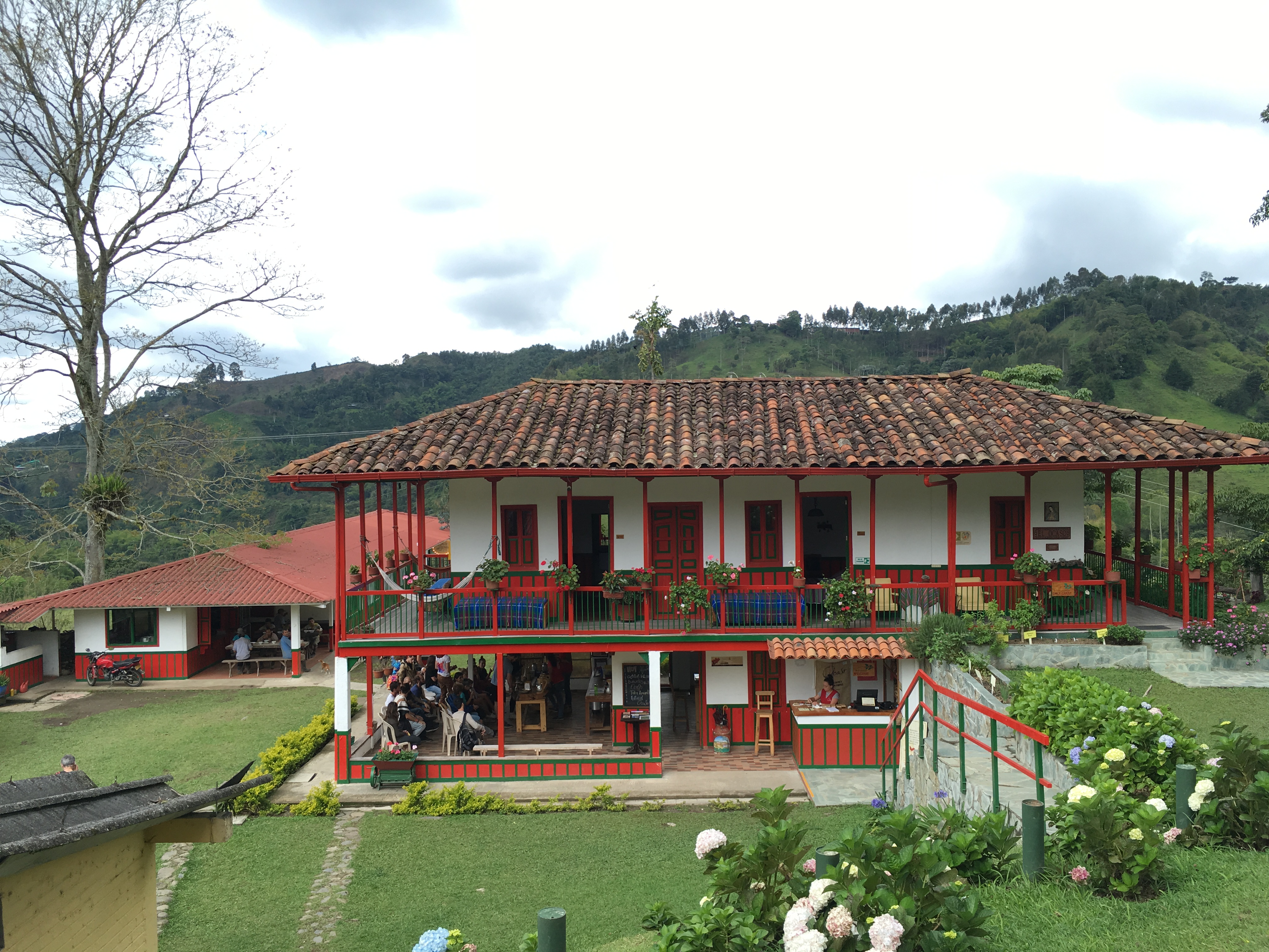 salento colombia coffee farm