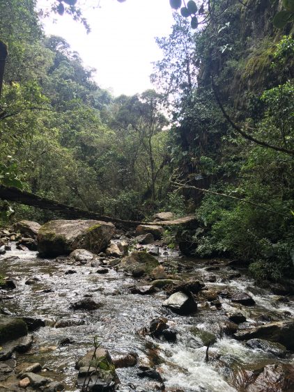 salento colombia hike