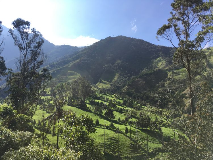 salento colombia valley hike