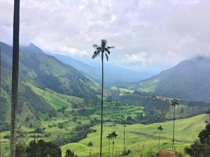 valle cocora