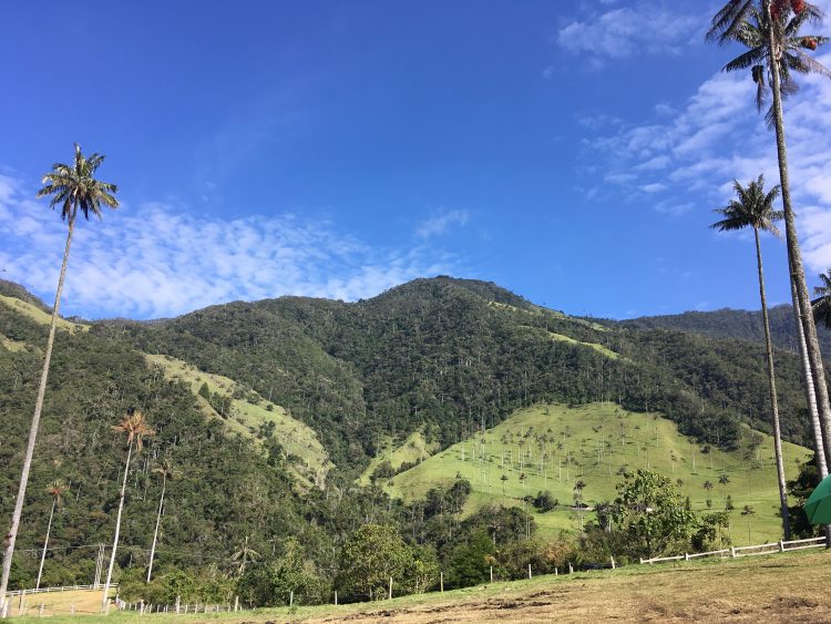 valley cocora salento