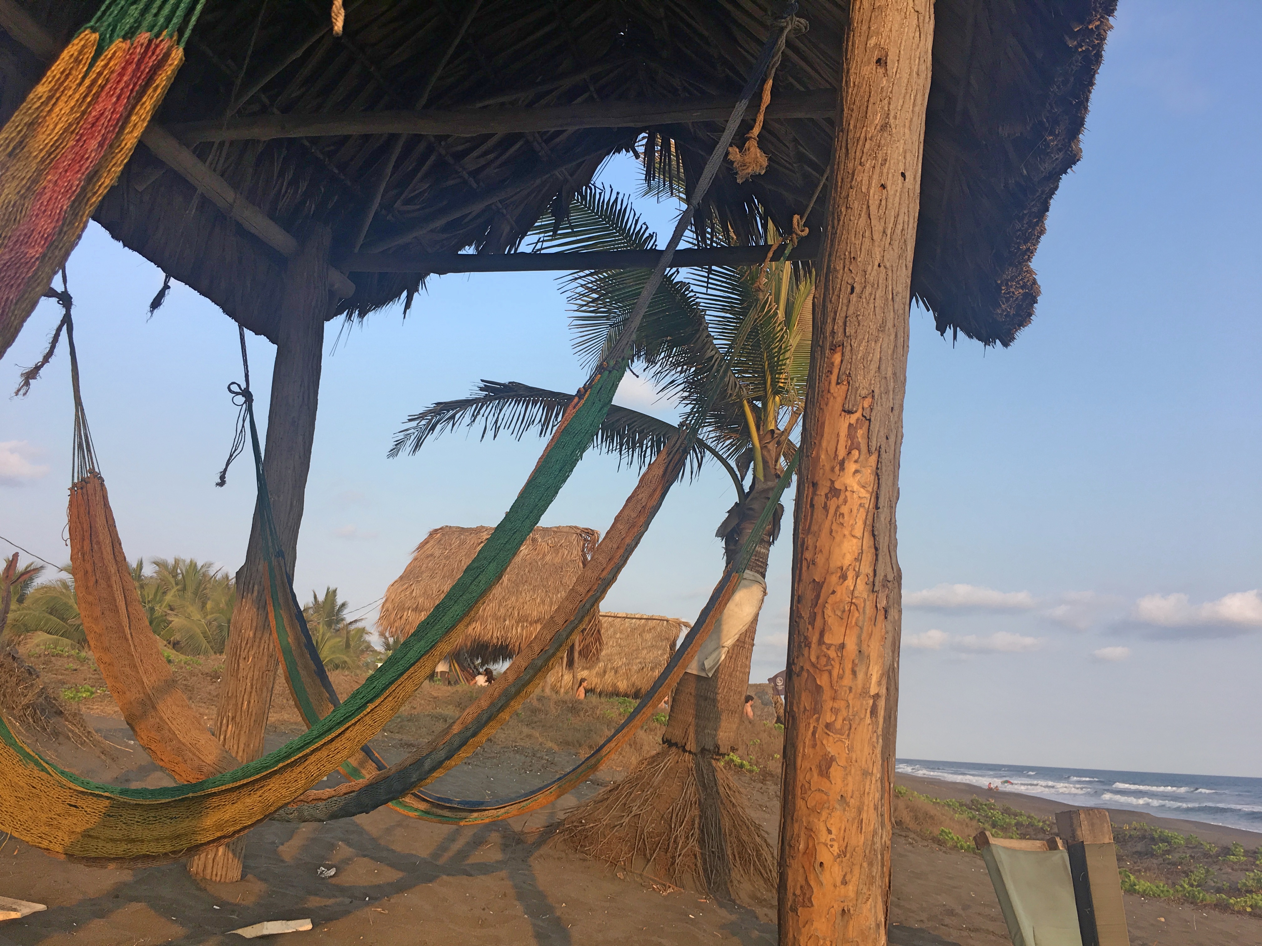 hammocks in paredon