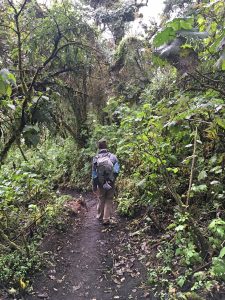 hiking trail to acatenango