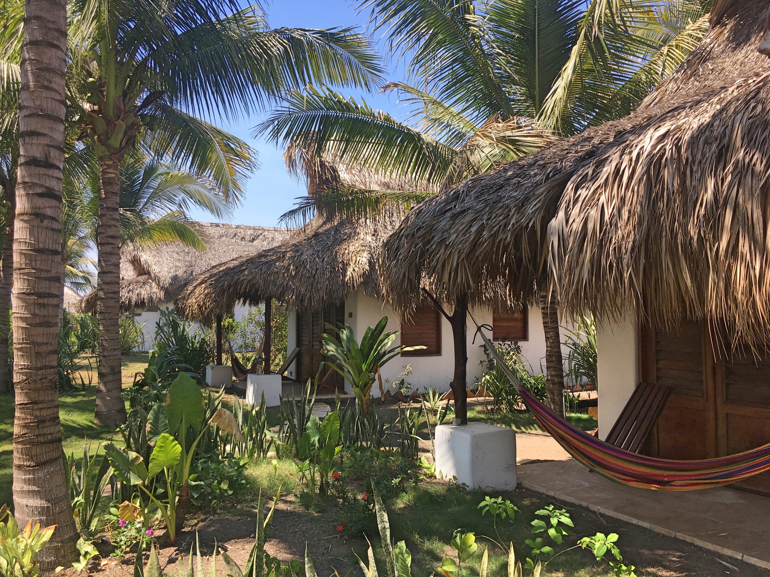 paredon surf camp