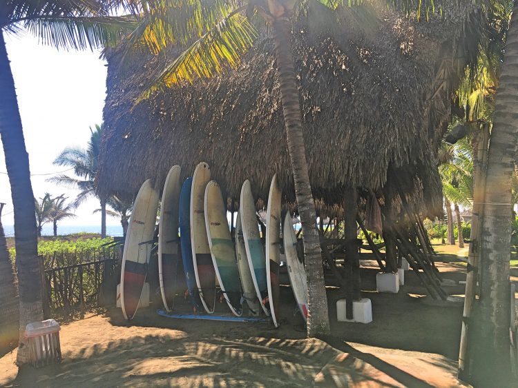 surfboards in paredon