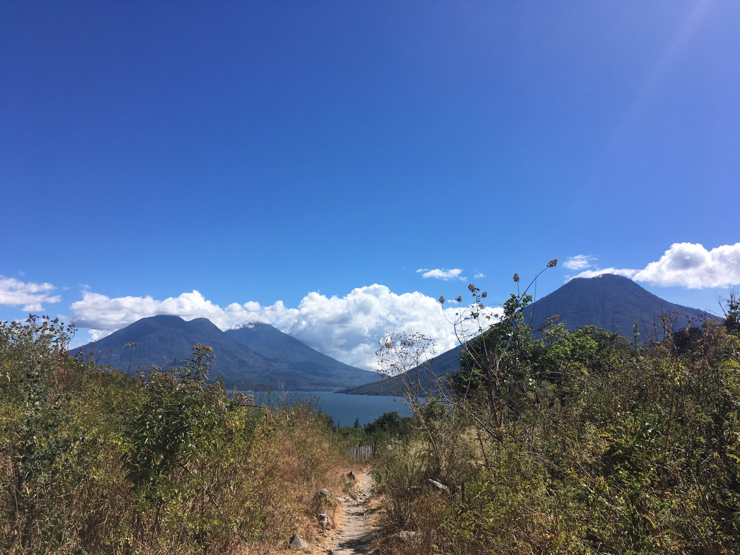 trail to yoga forest