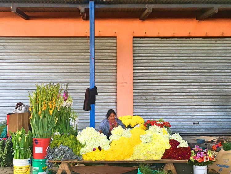 flowers at antigua market