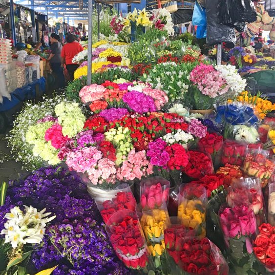 flowers in antigua market