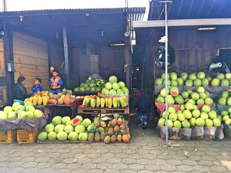 fruit at antigua market