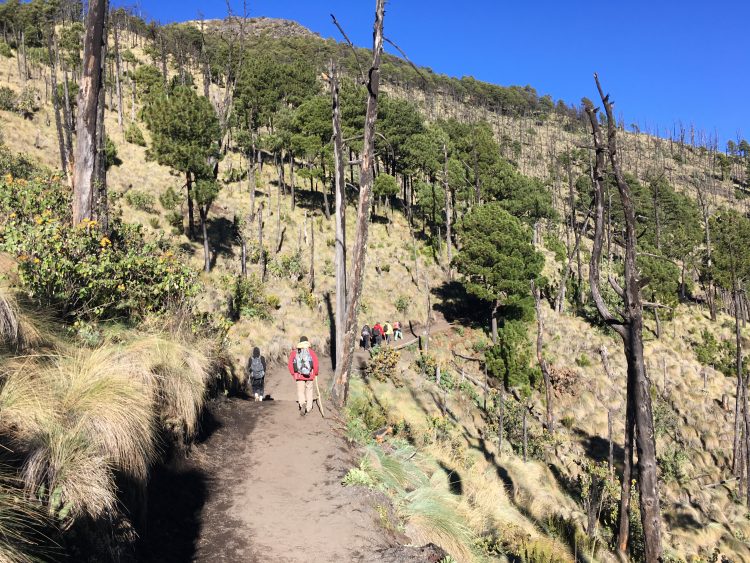 hiking to acatenango volcano