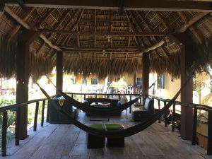 papaya lodge el tunco