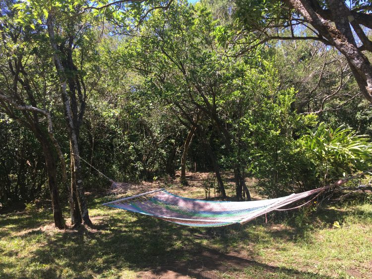 hammock garden