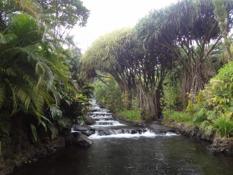 hot springs tabacon