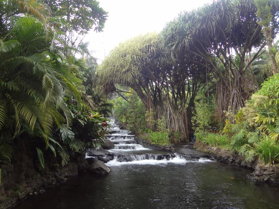 Tabacon hot springs Costa Rica Honeymoon 