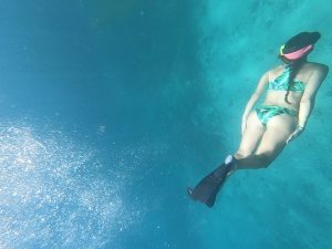 isla tortuga snorkeling