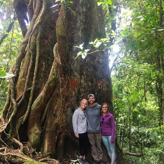 monteverde cloud forest