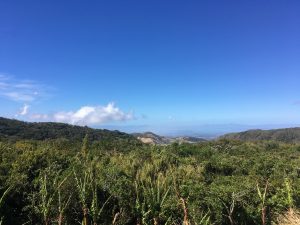 monteverde inn views