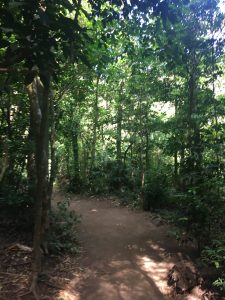 nature trail costa rica