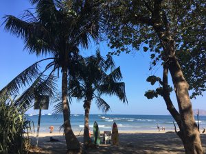 palm trees tamarindo