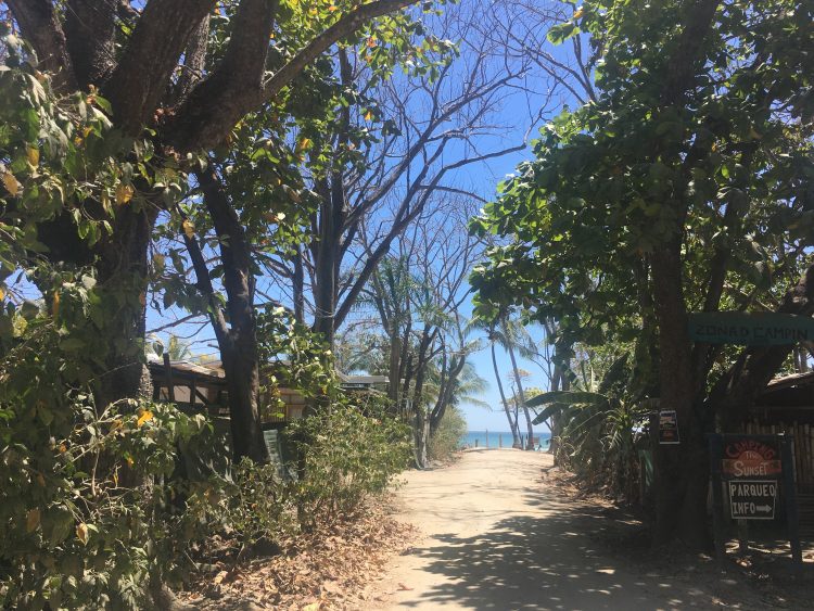 path to beach costa rica