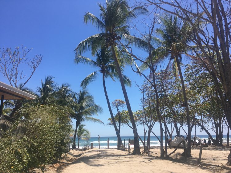 santa teresa costa rica