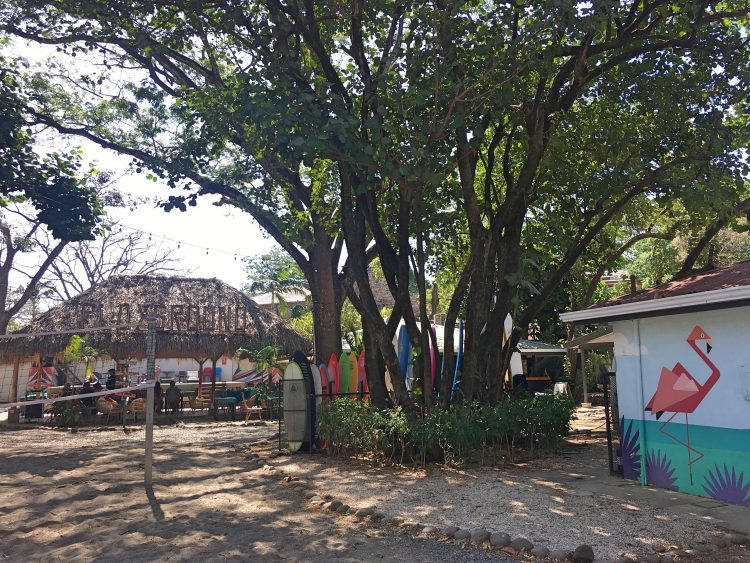 selina tamarindo hostel