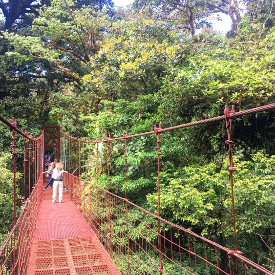 swinging bridge costa rica