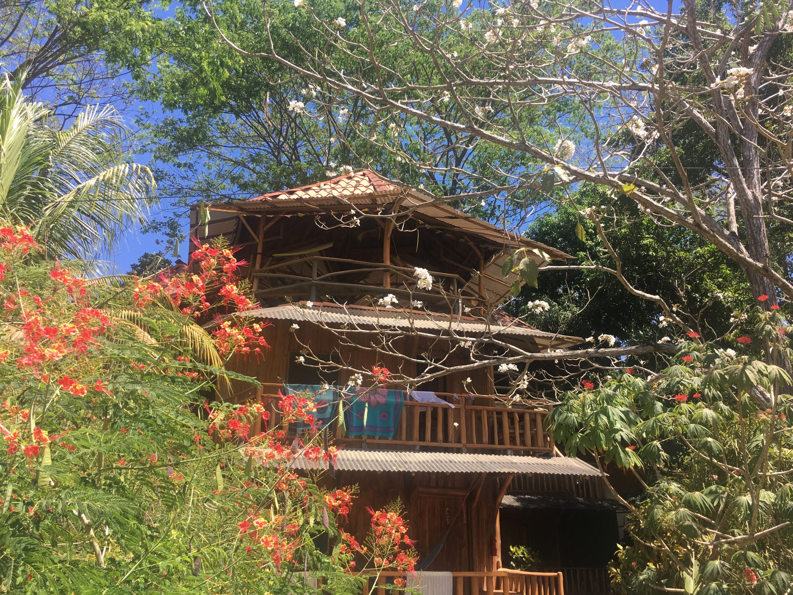 treehouse costa rica