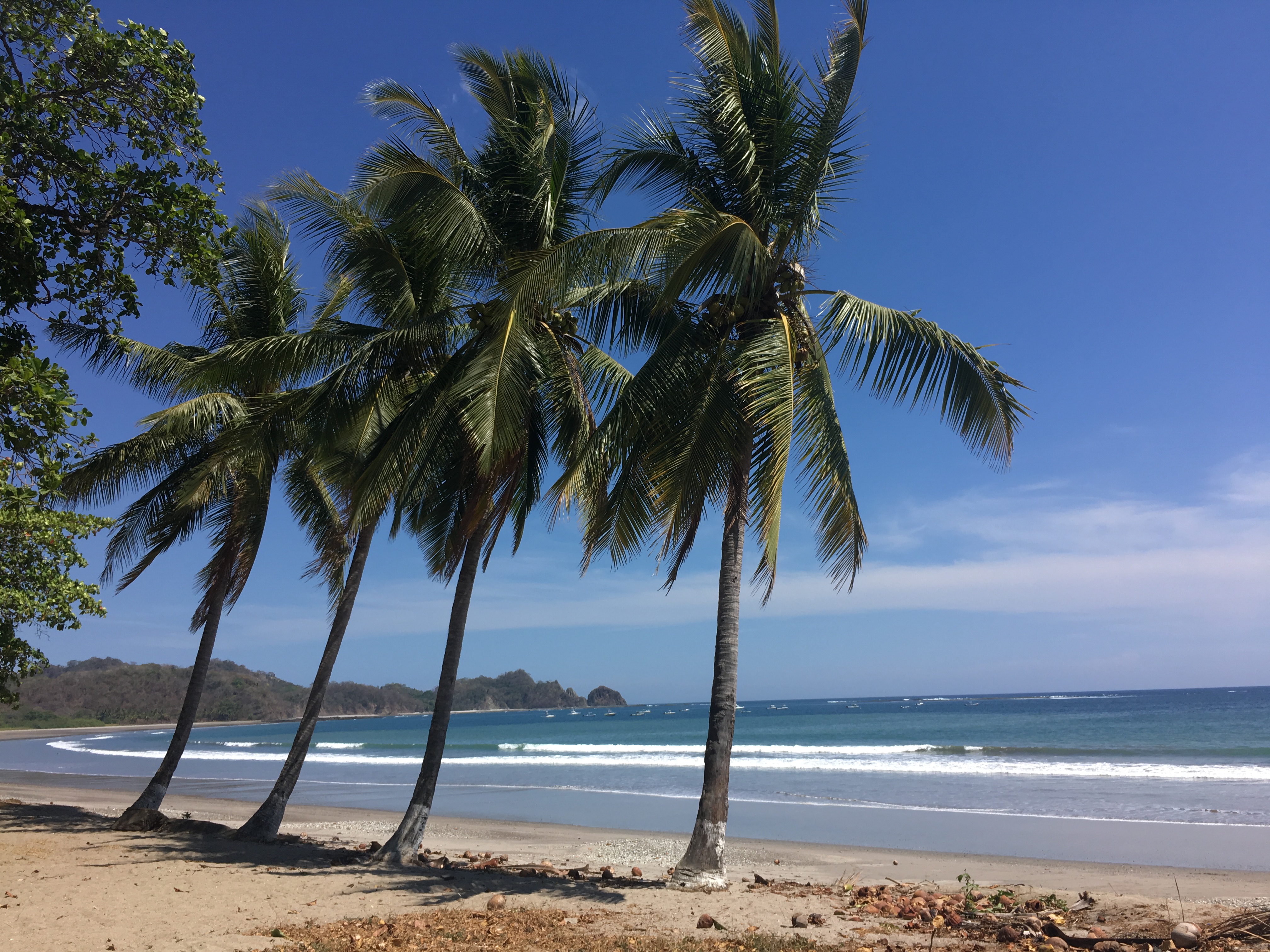 nosara costa rica
