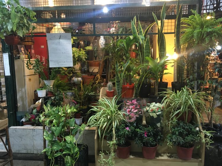 indoor market san telmo