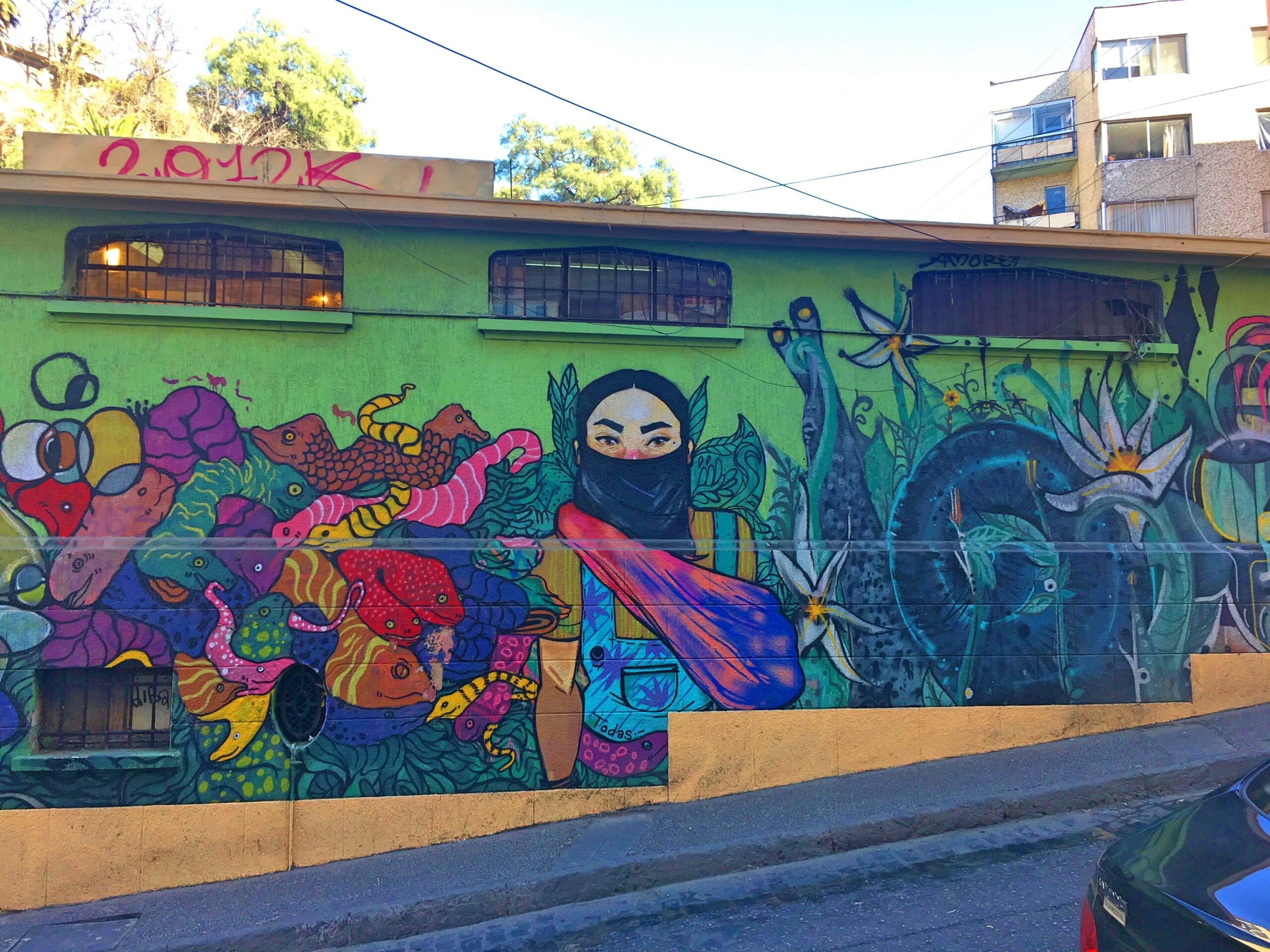 street art in valparaiso chile