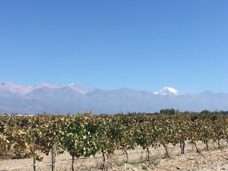 Wine Tasting in Argentina's Valle de Uco