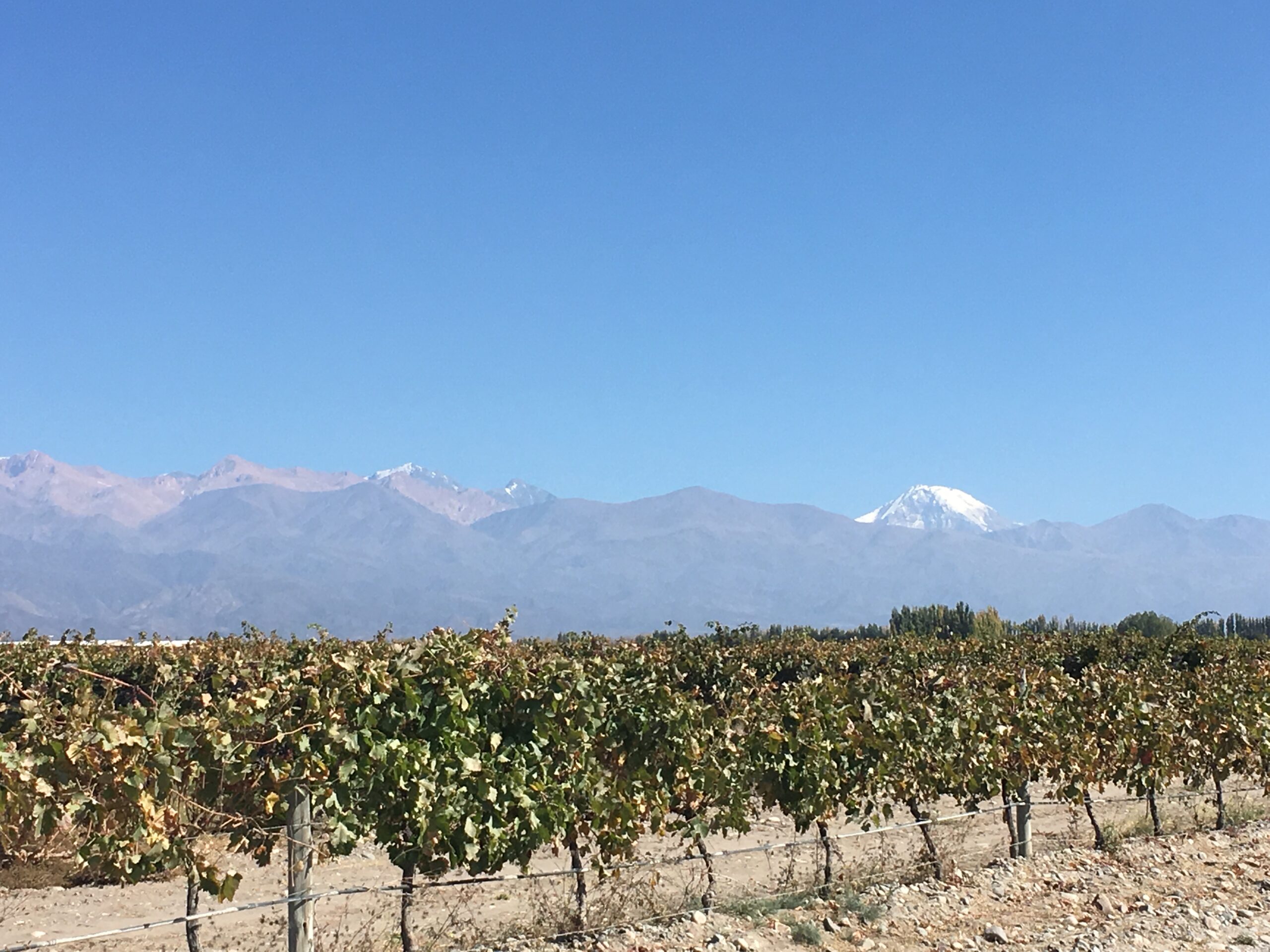 Wine Tasting in Argentina's Valle de Uco