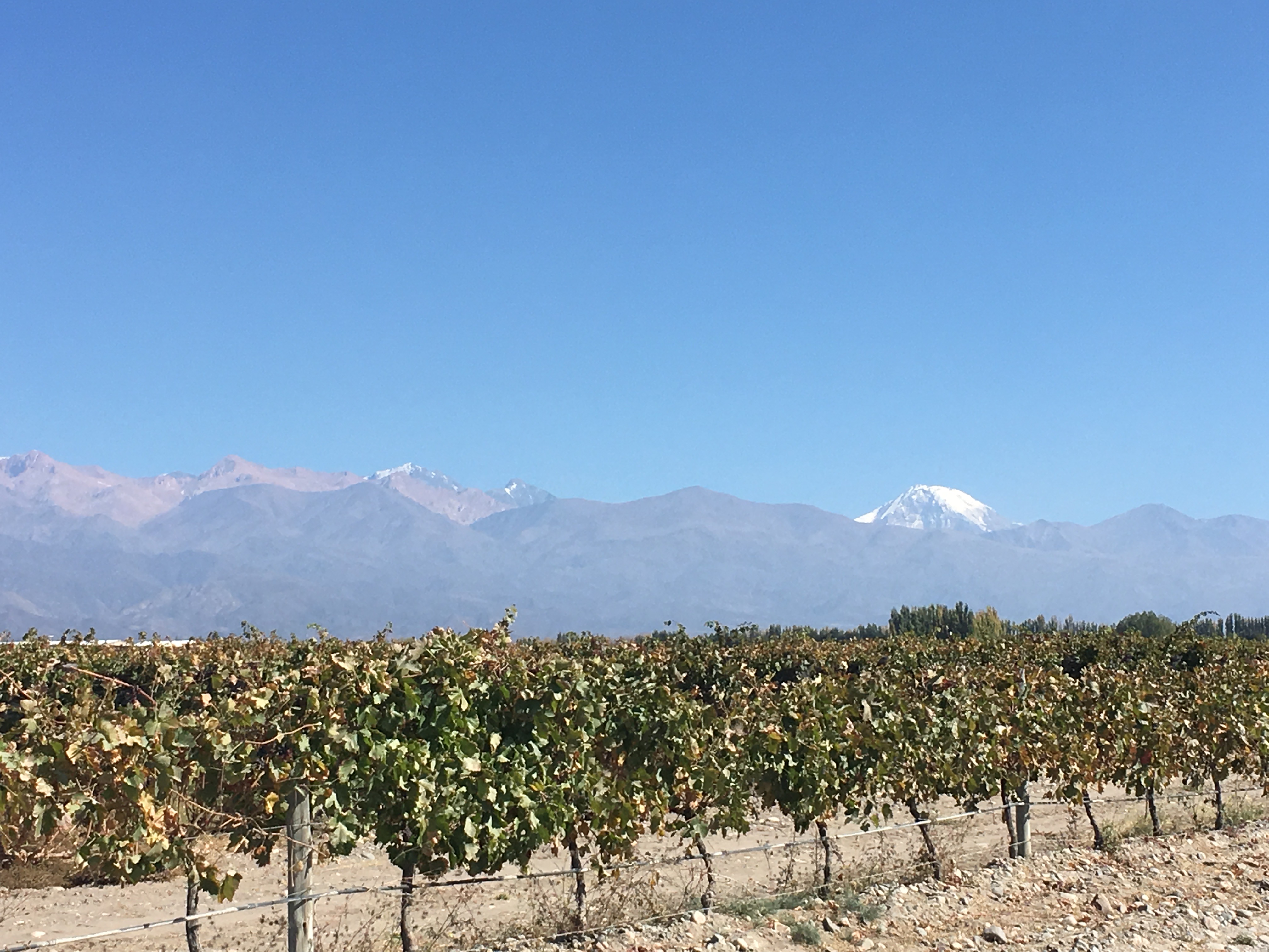 a view from South America Wine tasting