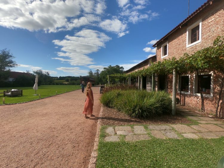 winery montevi