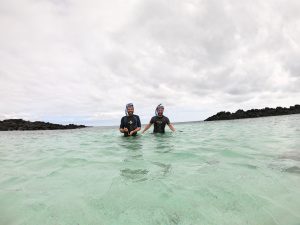 bahia sardina snorkeling