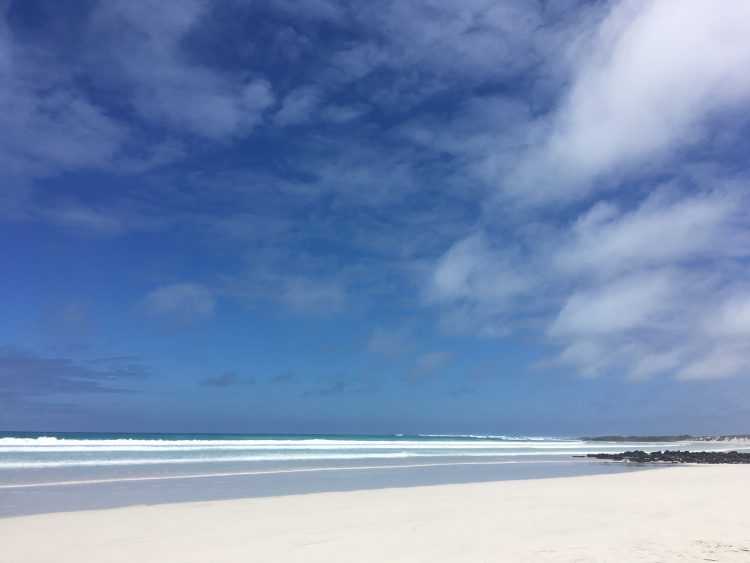 beach in galapagos