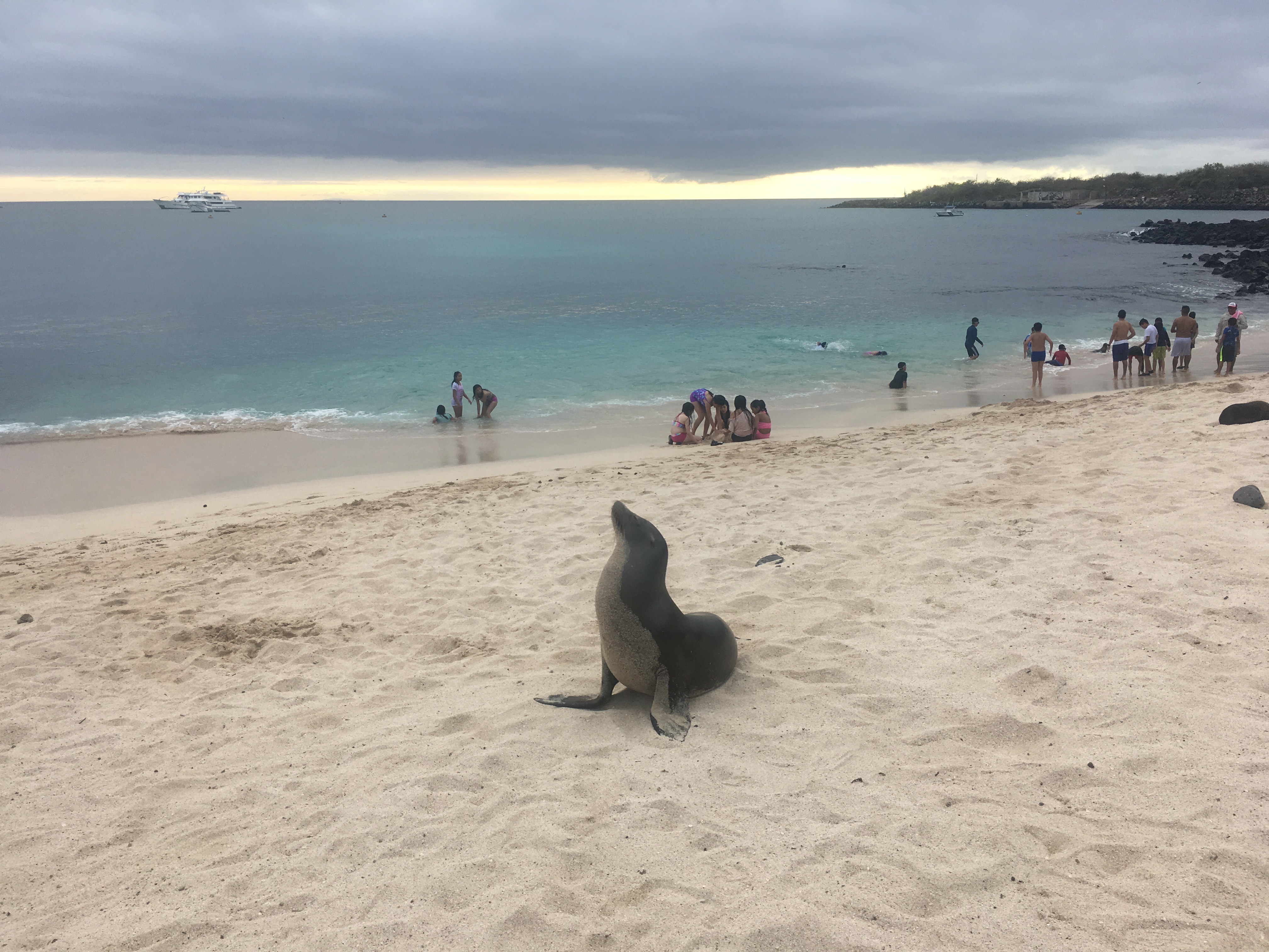 beach in galapagos