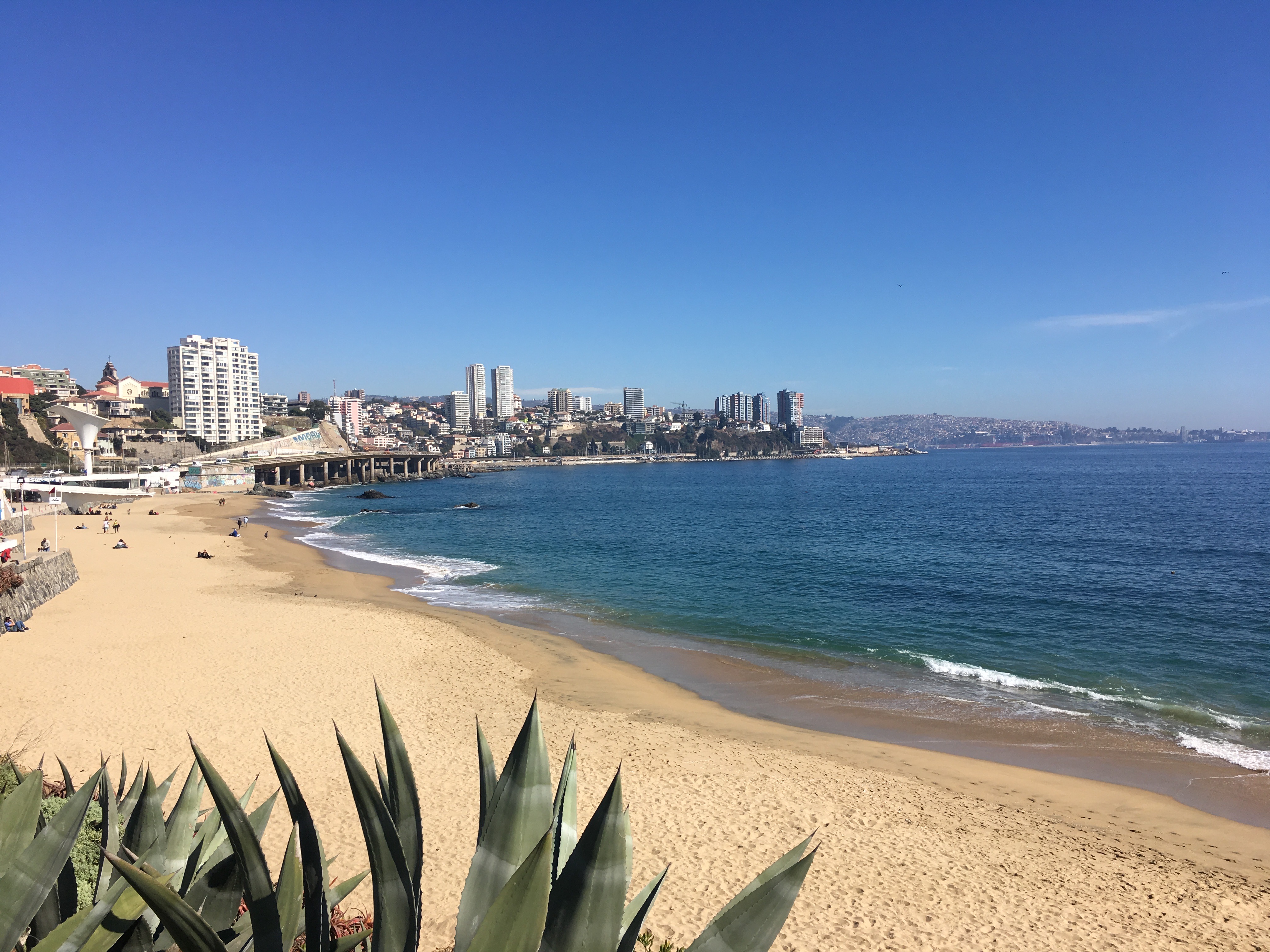 beach in Viña del Mar chile