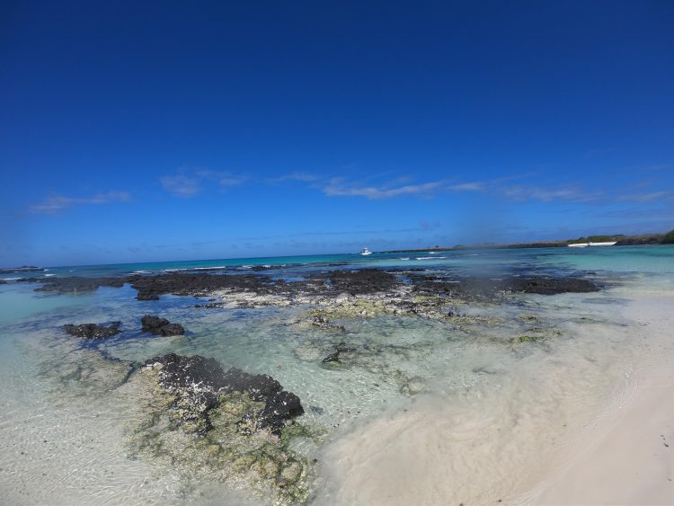 beach rosa blanca