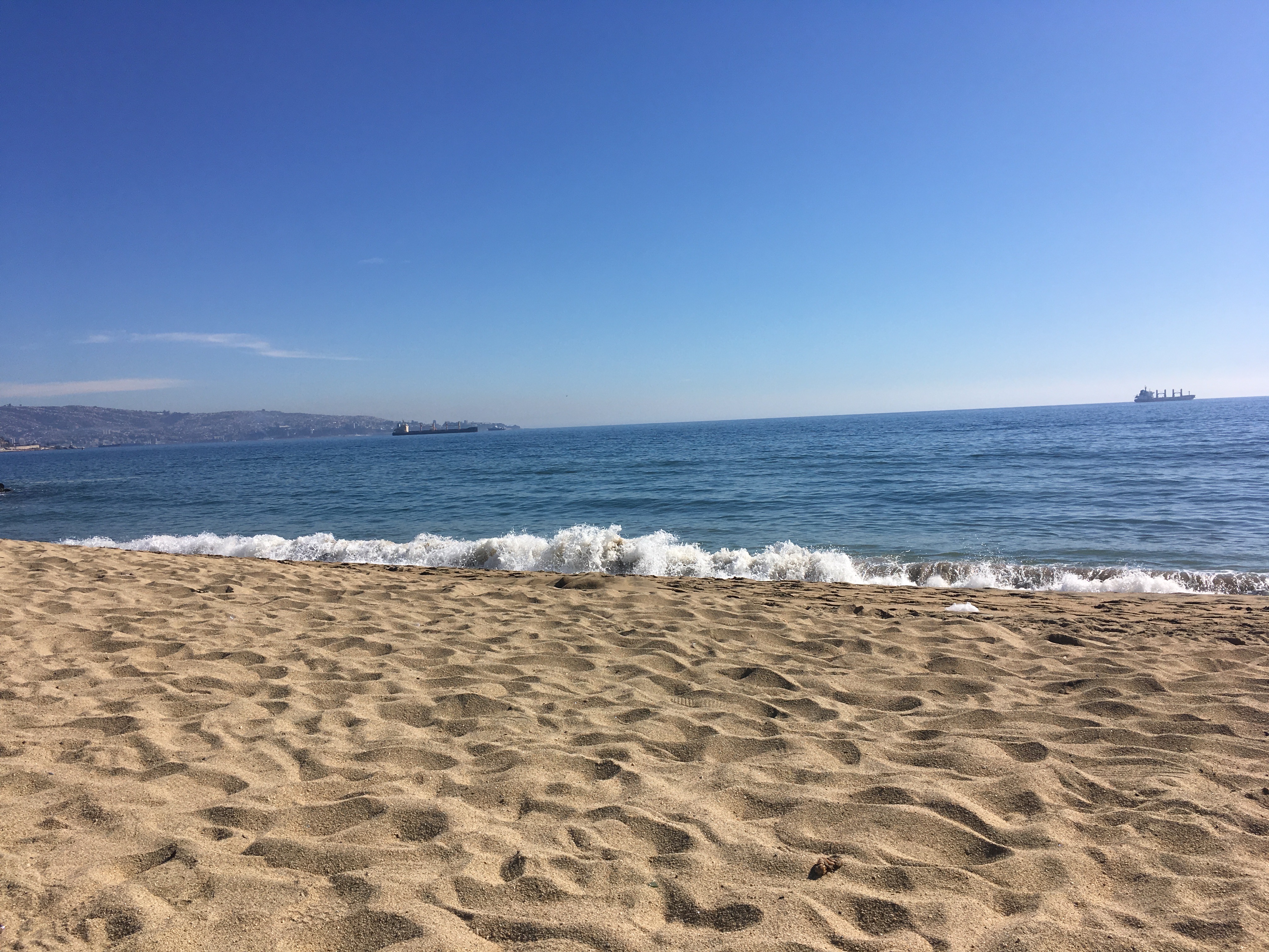 beach vina del mar