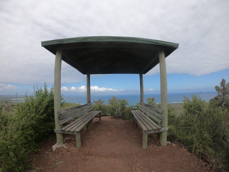 bench galapagos