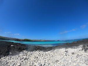 blue ocean galapagos