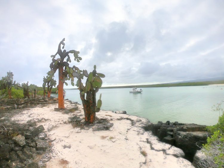 boat in galapagos